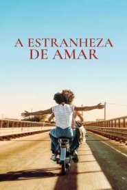 A Estranheza de Amar
